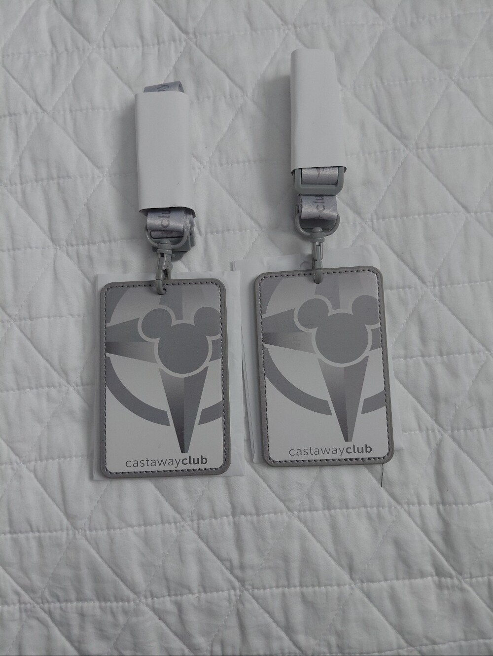 Set Of Two Disney Castaway Club Gray Lineyard - Gray